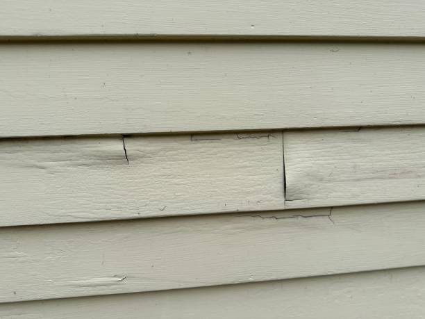 Best Residential Junk Removal  in Watertown, SD